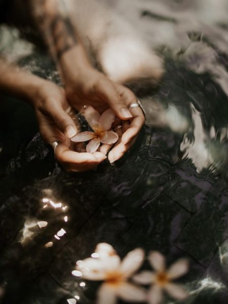 a9da702c-da7e-4a5a-954c-95705fdc1e69