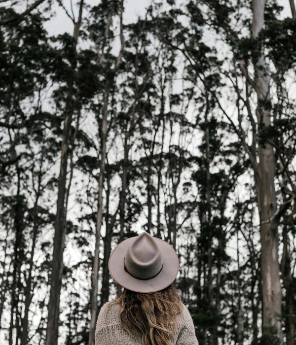 pexels-rachel-claire-4846154